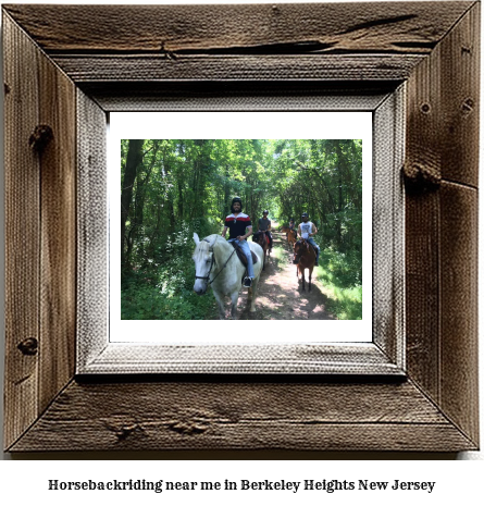 horseback riding near me in Berkeley Heights, New Jersey